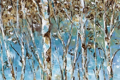 Picture of WINTER BIRCH