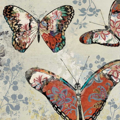 Picture of PATTERNED BUTTERFLIES II