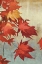 Picture of MAPLE LEAVES I - MINI