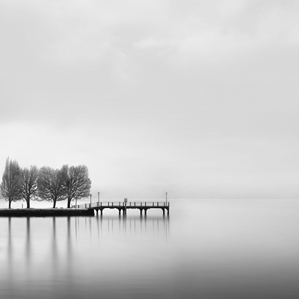 Picture of DIGALEKIS - PIER WITH TREES II