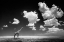 Picture of GHIZZI PANIZZA -GONE WITH THE CLOUDS
