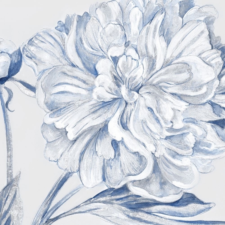 Picture of FRESH PETALS II