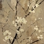 Picture of BLOSSOM ABSTRACTED