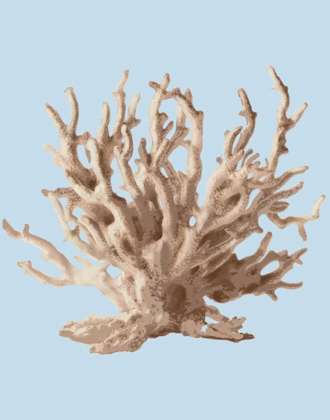 Picture of CORAL II