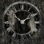 Picture of TEST OF TIME II