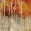 Picture of BELGIUM FOREST I