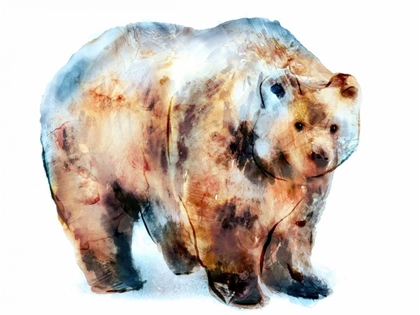 Picture of BEAR