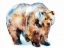Picture of BEAR