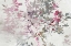 Picture of HYDRANGEA I