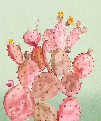 Picture of PINK CACTI