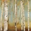 Picture of ECO I