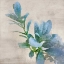 Picture of DELICATE BALANCE