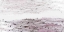 Picture of INFINITY II 