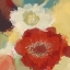 Picture of BLOOMING FLOWERS