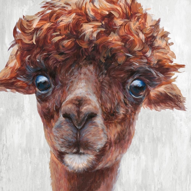 Picture of ALPACA I