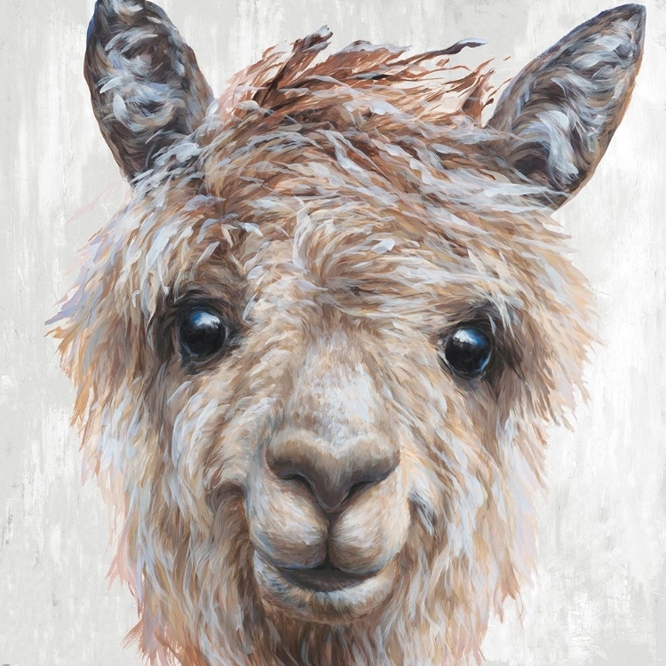 Picture of ALPACA II