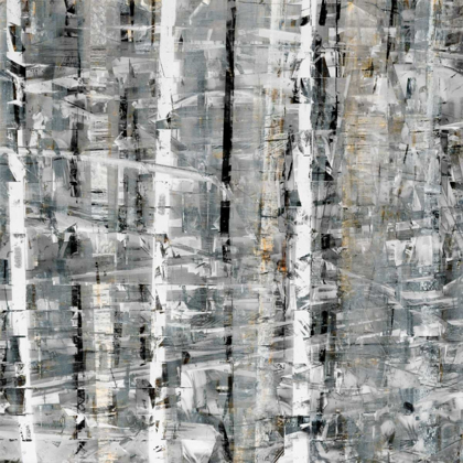 Picture of BIRCH PERSPECTIVE GREY I