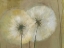 Picture of WHISPER I