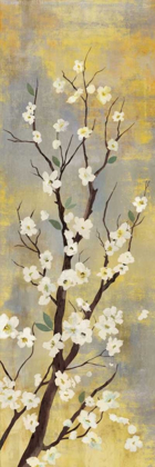 Picture of BLOSSOMS I