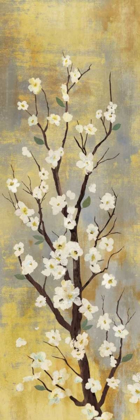 Picture of BLOSSOMS II