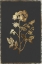 Picture of CUT LEAVED PHACELIA