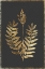 Picture of FLOWERING FERN