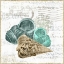 Picture of SHELL LETTER II