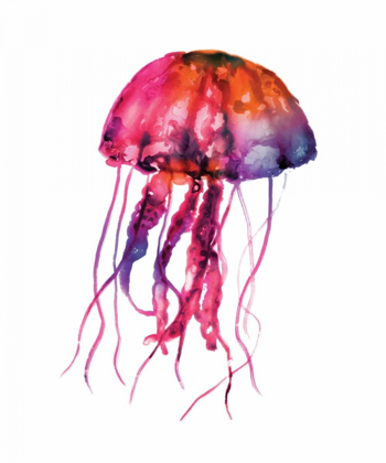 Picture of MULTICOLORED JELLYFISH