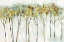 Picture of MARBLE FOREST