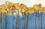 Picture of ARBRE BLEU