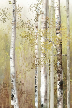 Picture of SERENITY BIRCH