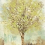 Picture of JADE TREE