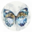 Picture of INDIGO BUTTERFLY I