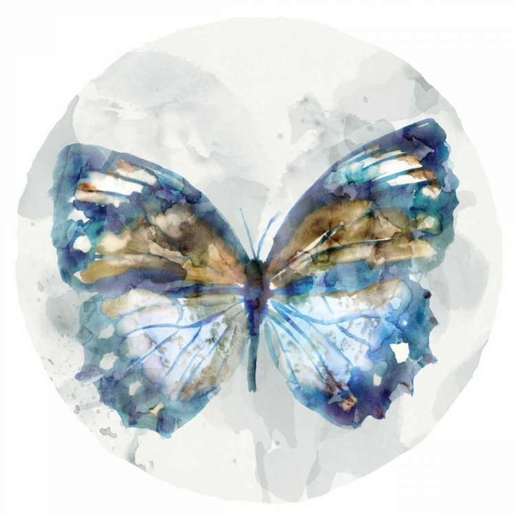 Picture of INDIGO BUTTERFLY I