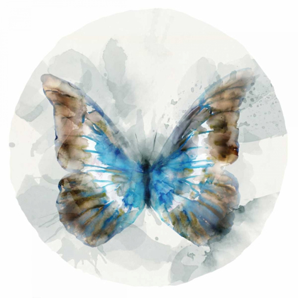 Picture of INDIGO BUTTERFLY II