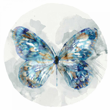 Picture of INDIGO BUTTERFLY III