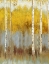 Picture of GOLDEN GROVE II