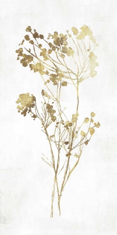 Picture of GOLD BOTANICAL II
