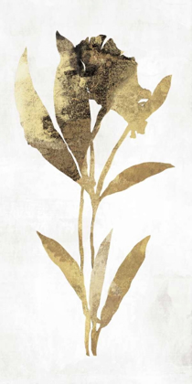 Picture of GOLD BOTANICAL III