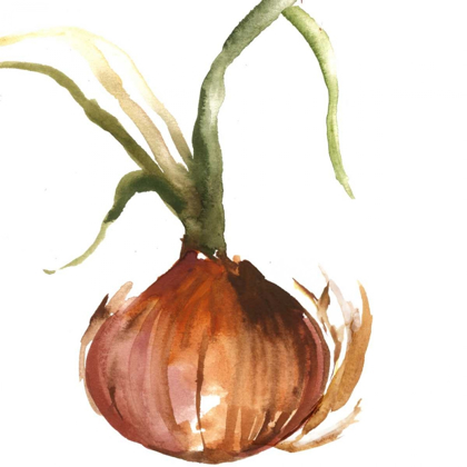 Picture of ONION