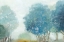 Picture of BLUEBERRY HILL