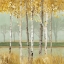 Picture of GOLDEN BIRCH