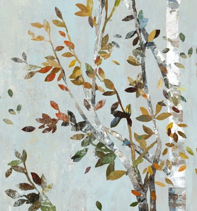 Picture of BIRCH WITH LEAVES II