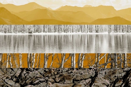 Picture of NATURE COLLAGE I