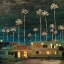 Picture of PALM SUNSET
