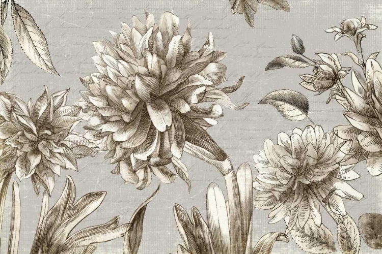 Picture of VINTAGE BLOOMS