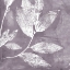 Picture of PETAL IMPRINT I