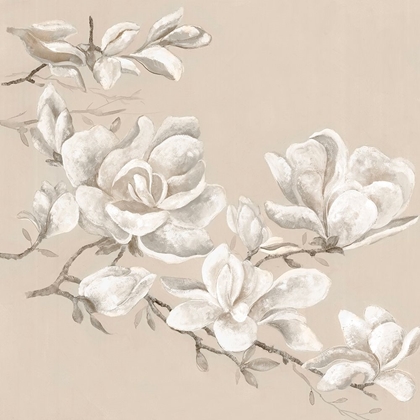 Picture of NEUTRAL MAGNOLIA I