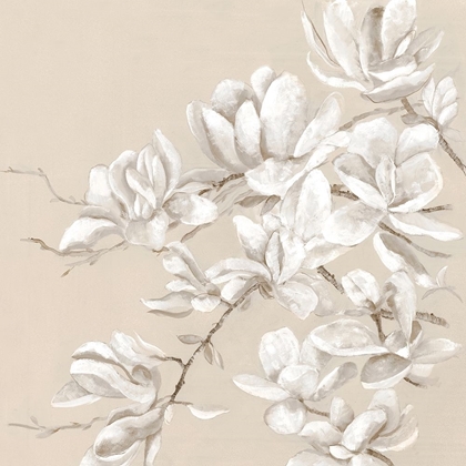 Picture of NEUTRAL MAGNOLIA II