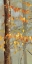 Picture of GOLDEN BRANCHES I -